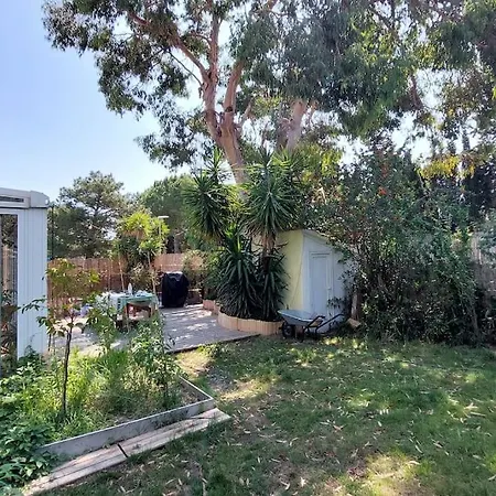 Avec Jardin Et Piscine Prives * Montpellier
