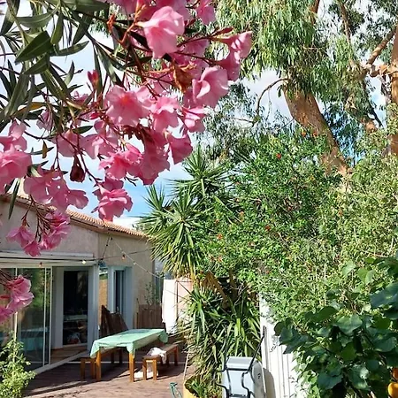 Avec Jardin Et Piscine Prives Villa