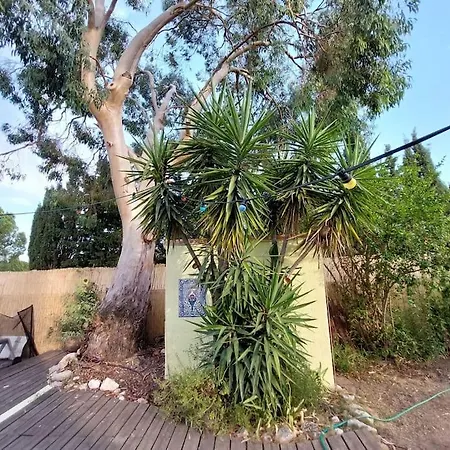 Avec Jardin Et Piscine Prives * Montpellier