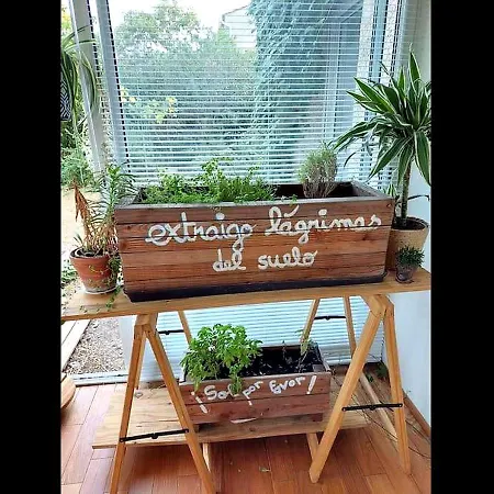 Avec Jardin Et Piscine Prives