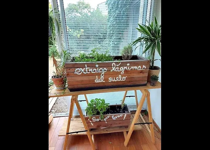Avec Jardin Et Piscine Prives